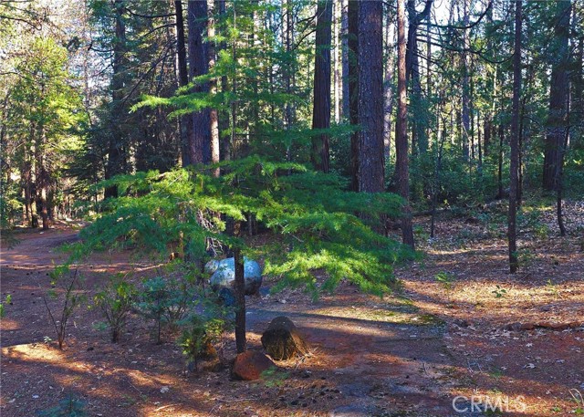 Detail Gallery Image 24 of 27 For 38 Weiss Hill Rd, Oroville,  CA 95966 - 3 Beds | 1/1 Baths