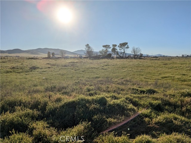 Front Image Thumbnail for CRNS26064981