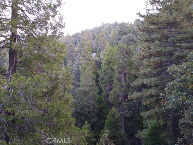 24672 Bernard Drive, Crestline, CA 92325