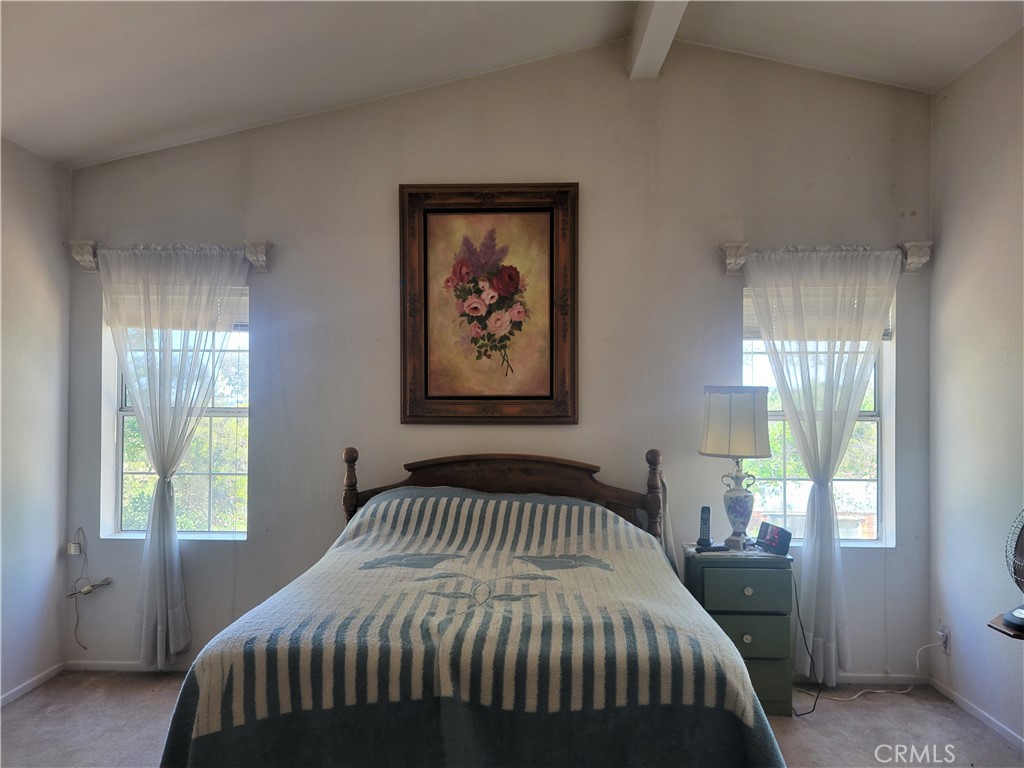 56400 Lubo Trail