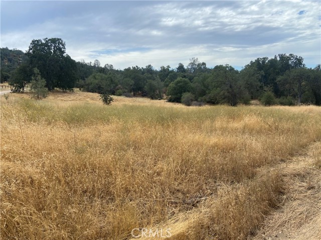 0 Hogans Mountain RD, Coarsegold, California 93614, ,Land,For Sale,0 Hogans Mountain RD,CRMP23147543