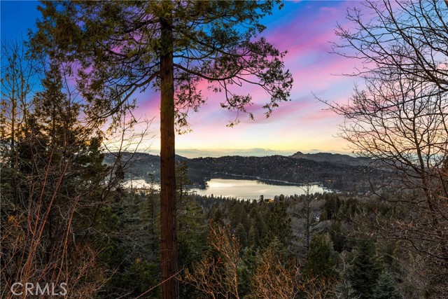 29162 Bald Eagle Ridge, Lake Arrowhead CA: https://media.crmls.org/medias/16b7d06d-c140-405a-a206-b0a22330d04a.jpg