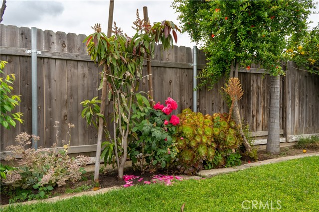 Detail Gallery Image 23 of 30 For 3446 Briarvale St, Corona,  CA 92879 - 4 Beds | 2 Baths