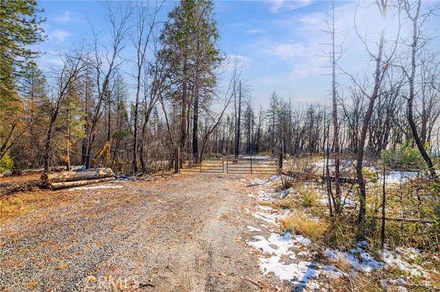 5 Four M, Berry Creek, CA, 95916 5 Four M, Berry Creek, CA, 95916
