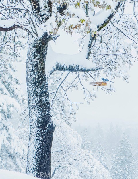 https://media.crmls.org/medias/16c23de3-856e-44f2-81c3-d7e737e62ed0.jpg?preset=X-Large