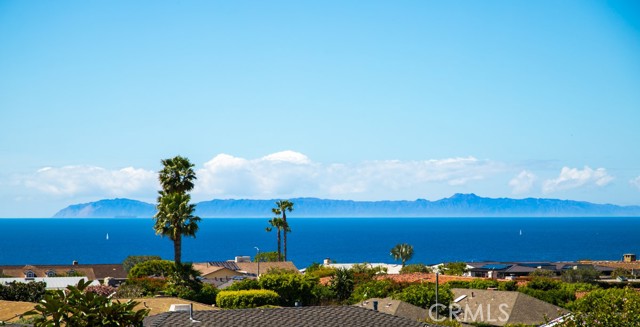 Front Image Thumbnail for CROC26070404