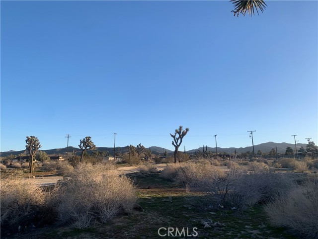 57335 Twentynine Palms, Yucca Valley, California 92284, ,Land,For Sale,57335 Twentynine Palms,CRNP23100972