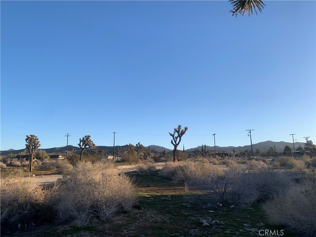 MLS #NP23100972 image #23