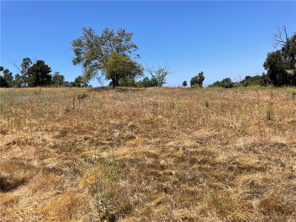 Linda Vista Drive - photo 8