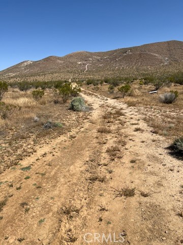 Detail Gallery Image 13 of 15 For 0 Cor 87th St W & Felsite Ave, Rosamond,  CA 93560 - – Beds | – Baths