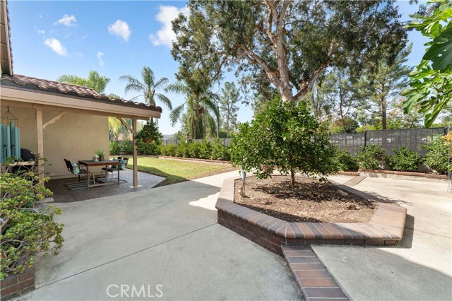 Citrus trees abound. Tree in large planter area was once a hot tub. However, since current owner has owned it, this has always been a planter.