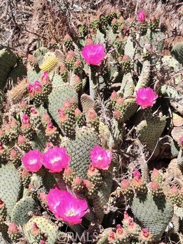 Detail Gallery Image 8 of 10 For 10376 55th St, Mojave,  CA 93501 - – Beds | – Baths