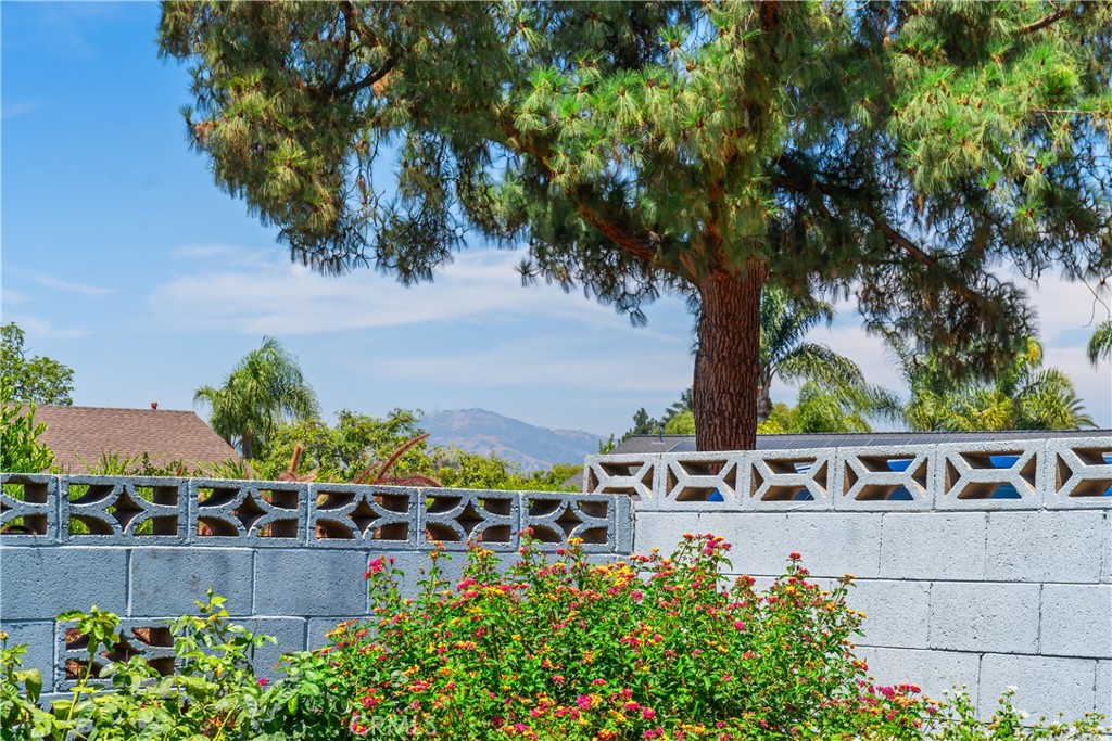 https://media.crmls.org/medias/16e582ad-53d4-43c8-804d-384408635b99.jpg?preset=X-Large