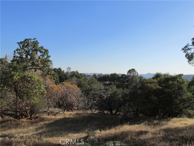 Detail Gallery Image 30 of 54 For 2 Ac Old Oaks Ct, North Fork,  CA 93643 - – Beds | – Baths