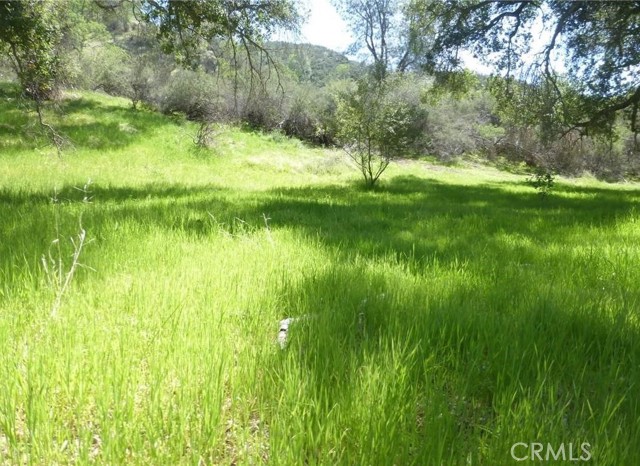 Detail Gallery Image 1 of 37 For 0 0 Vineyard Canyon Parcel 29, San Miguel,  CA 93451 - – Beds | – Baths