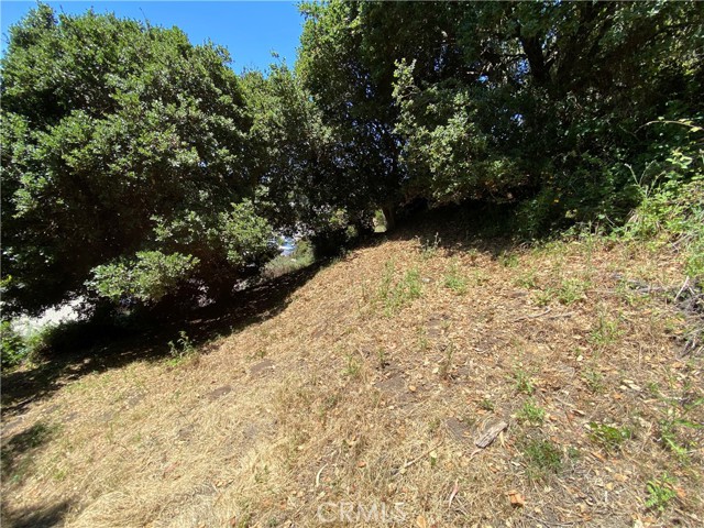 Detail Gallery Image 5 of 9 For 0 Kent St, Cambria,  CA 93428 - – Beds | – Baths