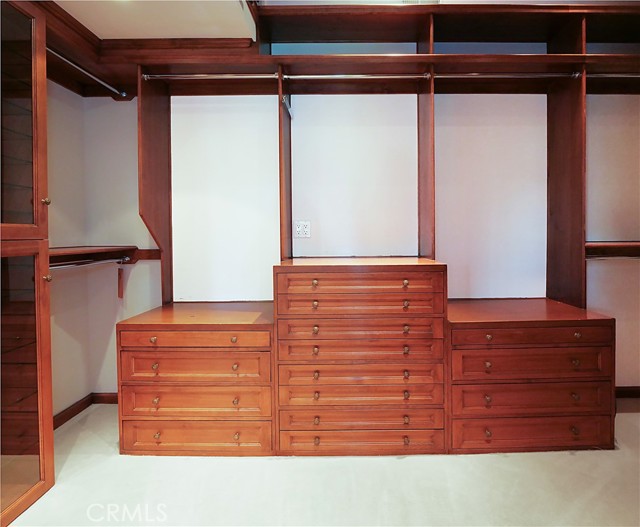 Master closet with custom builtins, ladder to loft for extra storage, vault and secret closet
