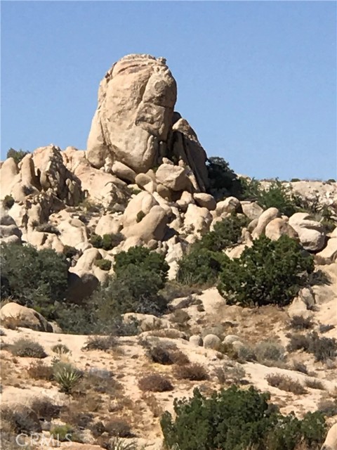 56564 Nelson Avenue, Yucca Valley CA: https://media.crmls.org/medias/171055d6-5b20-4881-a988-7414aa01cf34.jpg