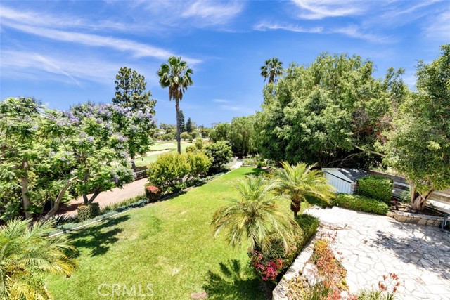 Lush backyard filled with exotic fruit and flowers