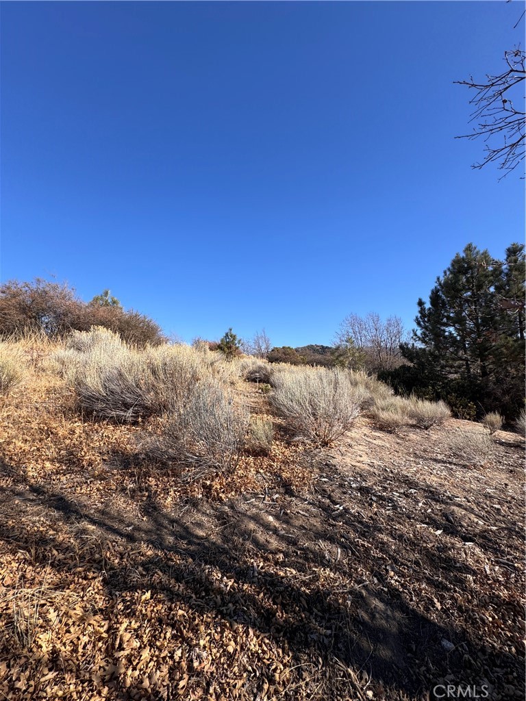 MLS #HD25012792 image #3