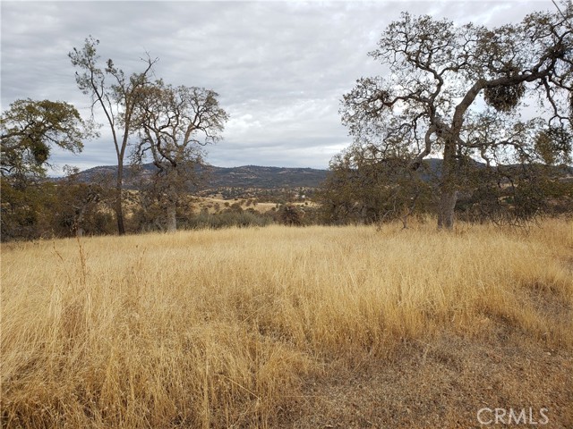 Detail Gallery Image 2 of 12 For 5725 Enramada, La Grange,  CA 95329 - – Beds | – Baths