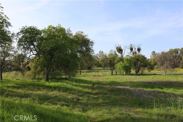 Detail Gallery Image 27 of 32 For 0 Douglas Rd, Coarsegold,  CA 93614 - – Beds | – Baths