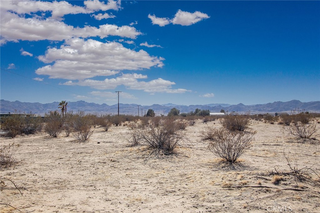 MLS #JT24154385 image #3