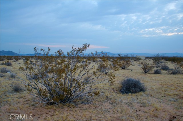 Detail Gallery Image 18 of 24 For 0 Venus St, Joshua Tree,  CA 92252 - – Beds | – Baths