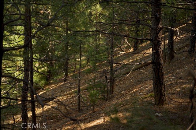 Detail Gallery Image 8 of 10 For 390 E Main, Quincy,  CA 95971 - – Beds | – Baths