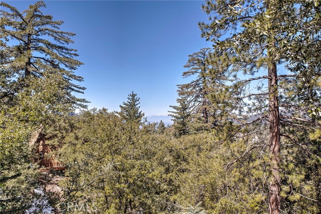 Detail Gallery Image 13 of 61 For 53050 Woodpecker Way, Idyllwild,  CA 92549 - 2 Beds | 1 Baths