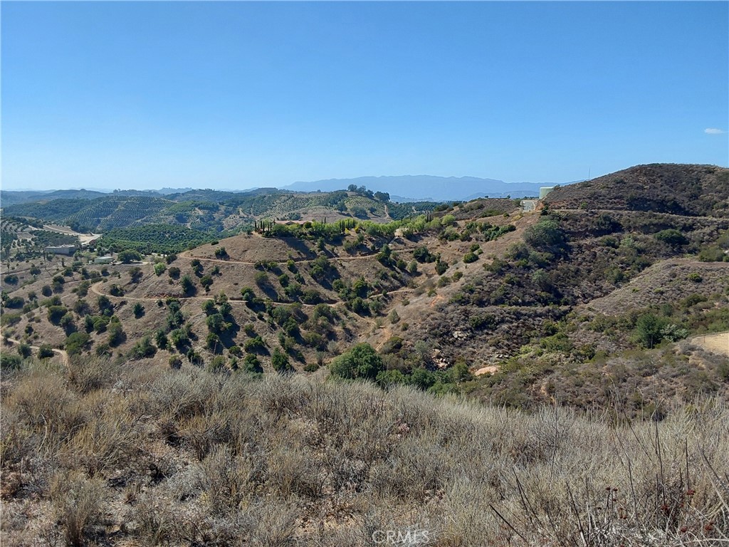 MLS #SW25229548 image #5