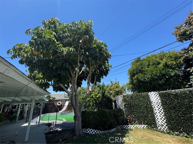 8631 Marylee Drive, Garden Grove CA: https://media.crmls.org/medias/1736793d-9b9b-4f0d-878b-5af6d89adba0.jpg