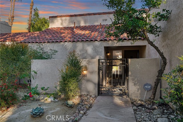 Front Image Thumbnail for CROC25200796