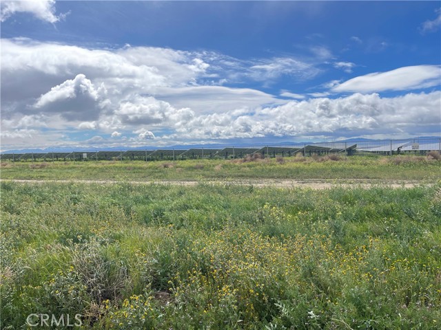 Detail Gallery Image 13 of 15 For 15981 Gaskell Rd, Rosamond,  CA 93560 - 4 Beds | 1 Baths