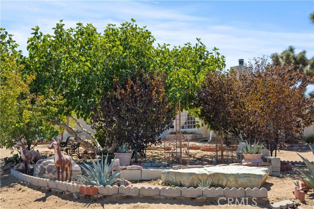 Detail Gallery Image 32 of 63 For 8582 Frontera Ave, Yucca Valley,  CA 92284 - 4 Beds | 2 Baths