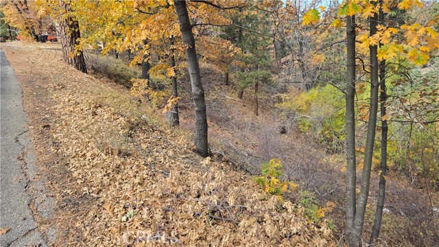 Detail Gallery Image 4 of 19 For 1000 Butte Ave, –,  CA 92314 - – Beds | – Baths