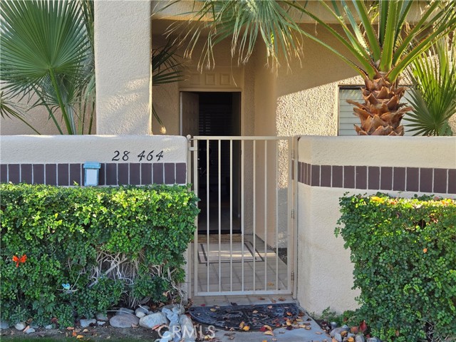 Front Image Thumbnail for CROC26038872