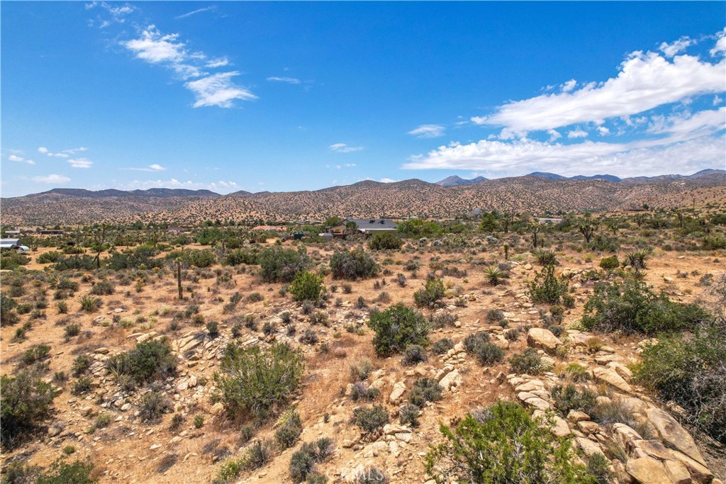 MLS #JT25246603 image #10