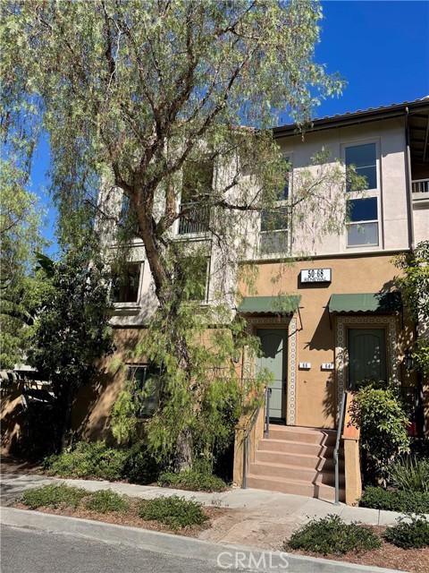 Front Image Thumbnail for CRWS25244755