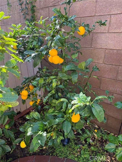 Detail Gallery Image 43 of 52 For 3 Ardmore, Irvine,  CA 92602 - 3 Beds | 2/1 Baths