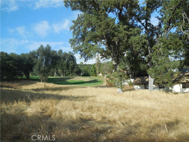 Detail Gallery Image 7 of 10 For 1 Acre Griffin Dr, Oakhurst,  CA 93644 - – Beds | – Baths