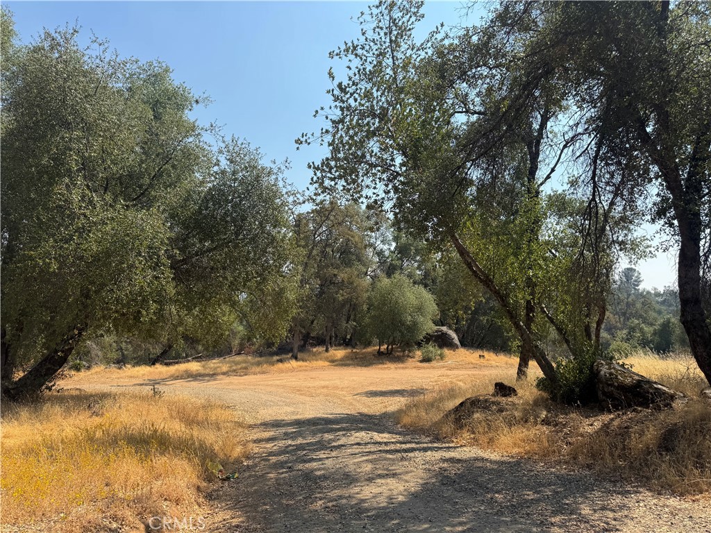 https://media.crmls.org/medias/175ec1f2-6724-44e1-879b-47529c2d0a87.jpg?preset=X-Large