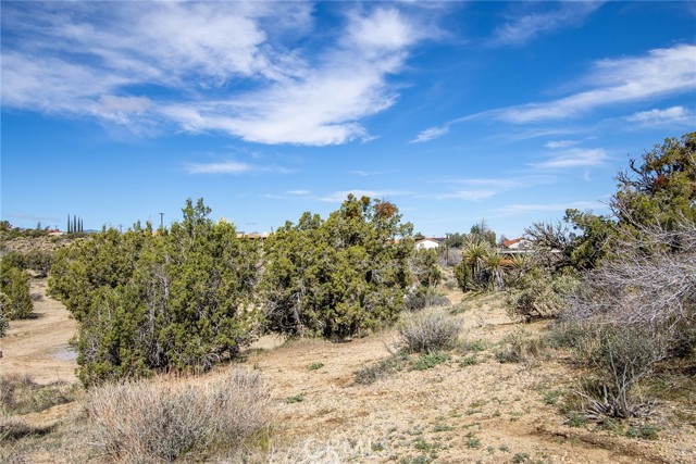 Detail Gallery Image 18 of 20 For 9486 Carmelita Cir, Yucca Valley,  CA 92284 - – Beds | – Baths