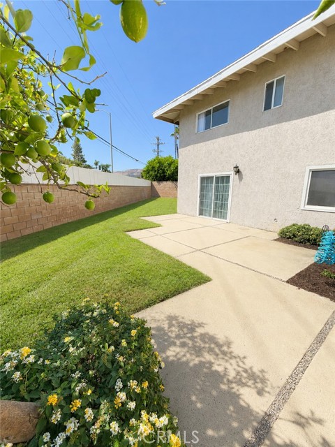 10661 Coraline Place photo 46