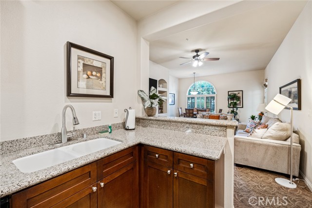 Image 7 for 48569   Classic DR