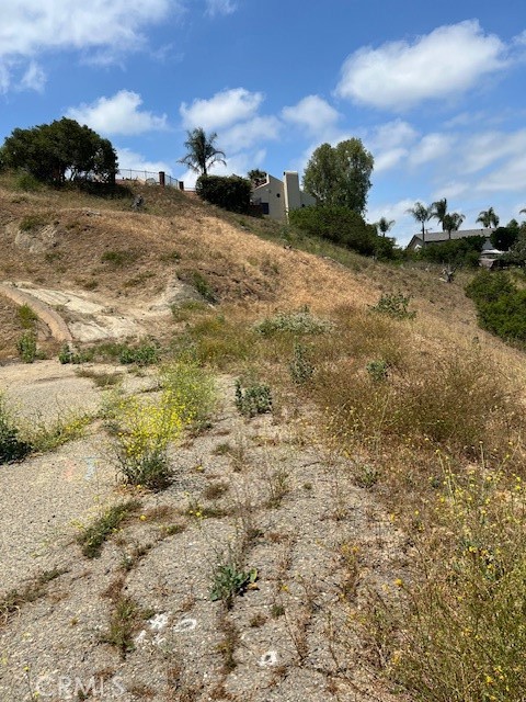 Detail Gallery Image 15 of 17 For 309 Penny Ln, Anaheim Hills,  CA 92808 - – Beds | – Baths