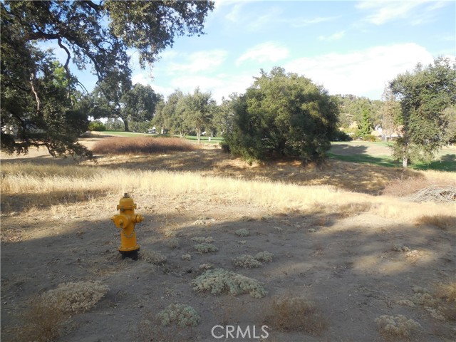 Detail Gallery Image 9 of 10 For 1 Acre Griffin Dr, Oakhurst,  CA 93644 - – Beds | – Baths