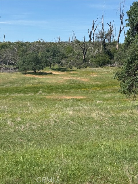 Detail Gallery Image 26 of 33 For 0 Round Valley Ranch, Paradise,  CA 95969 - – Beds | – Baths