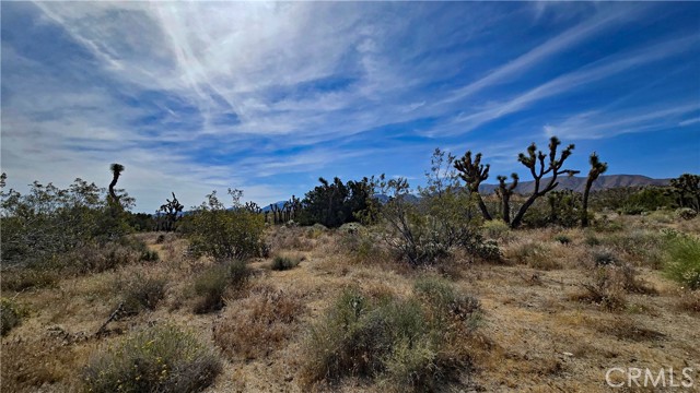 Detail Gallery Image 42 of 49 For 0 103rd St East Vicinity W14, –,  CA 93543 - – Beds | – Baths