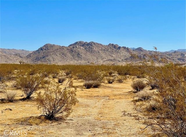 Detail Gallery Image 2 of 4 For 0 Dennis Ave, Joshua Tree,  CA 92252 - – Beds | – Baths